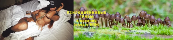 крисы Балахна