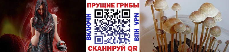 Галлюциногенные грибы ЛСД магазин продажи Малаховка